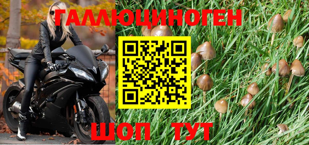 Галлюциногенные грибы прущие грибы Подольск