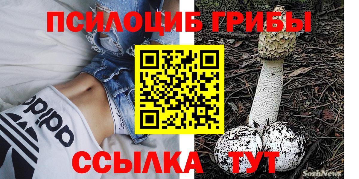 Псилоцибиновые грибы Cubensis  Вход с VPN  Подольск 